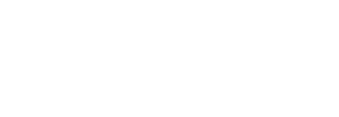 dasch logo